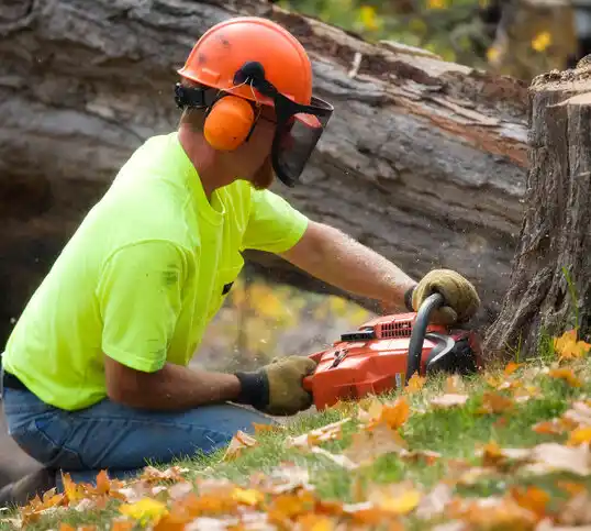 tree services Stoneville